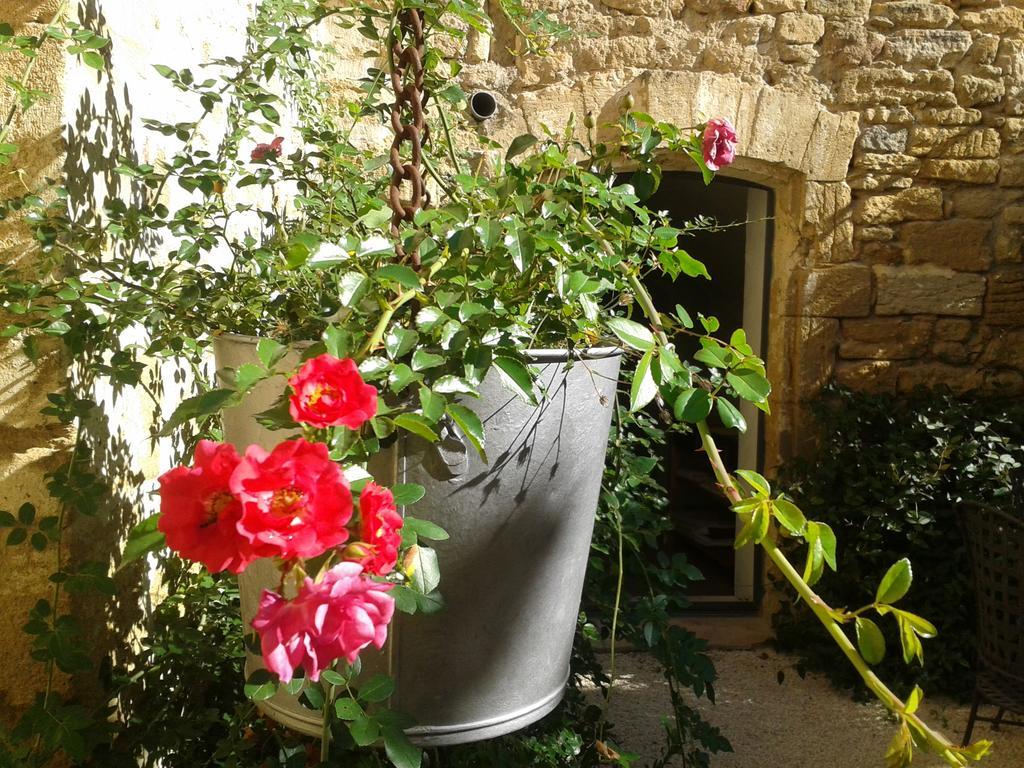 Guesthouse De Cambis B&B Remoulins Ngoại thất bức ảnh